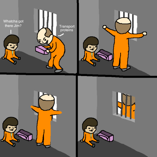 tumblr_m45gp4lqtf1qa09cwo1_500